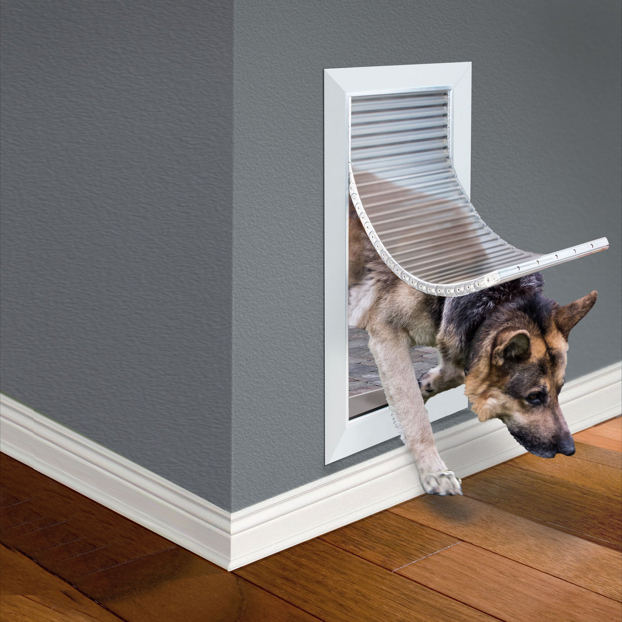 Armor Flex Large Wall Mount Dog Door