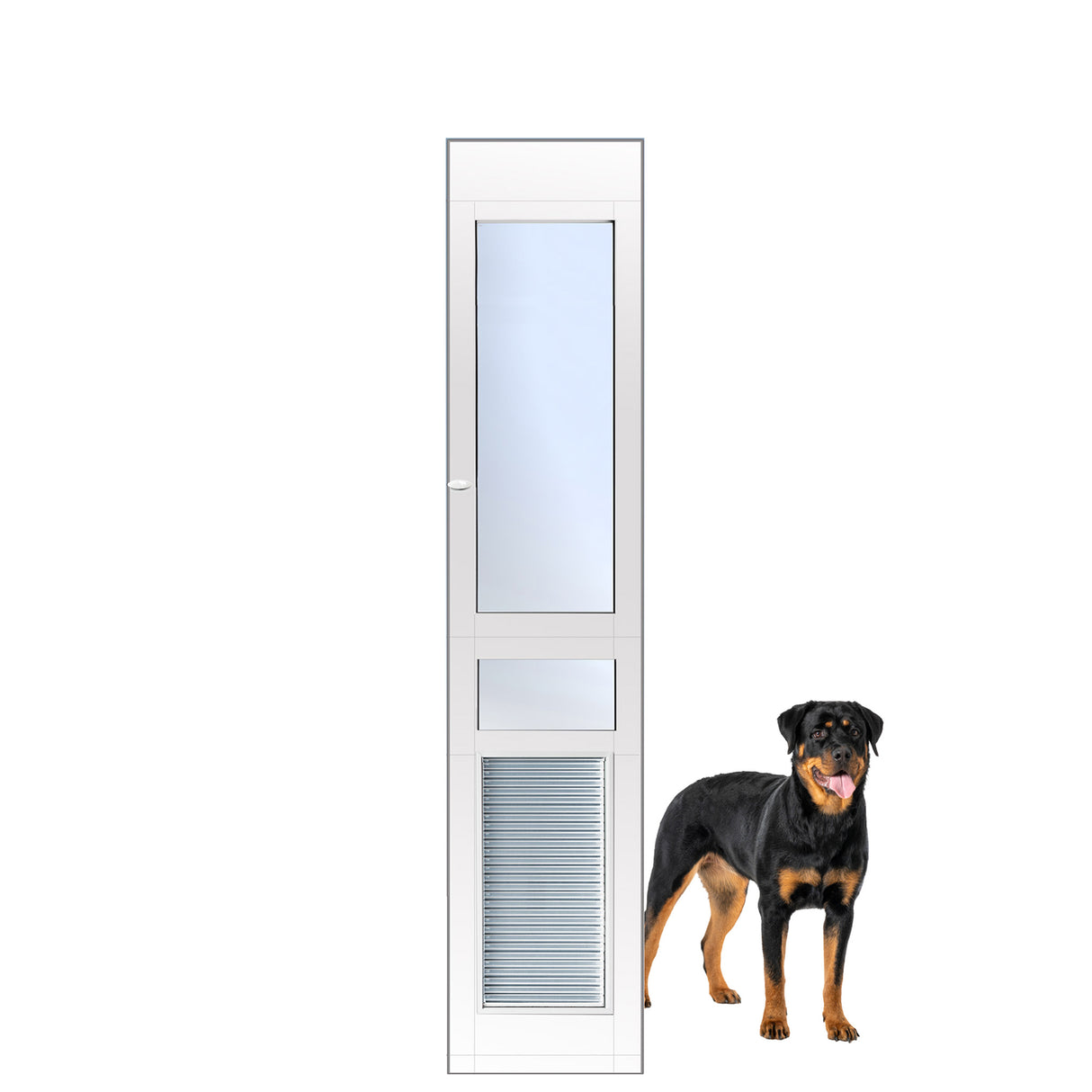 Armor Flex Patio Pet Door, Large, Regular Height
