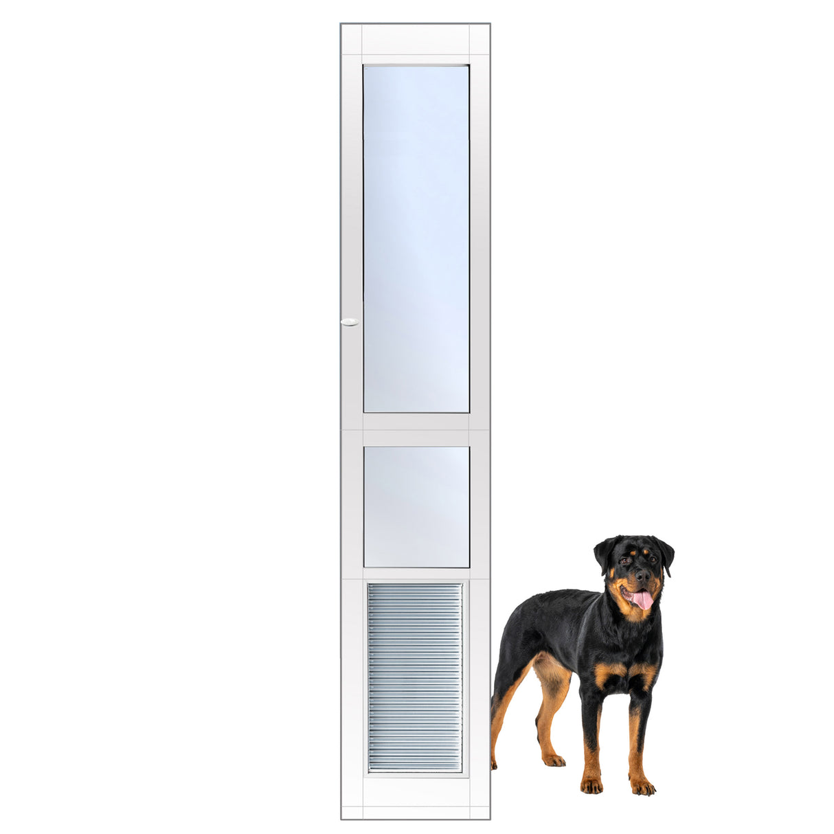 Armor Flex Patio Pet Door, Large, Tall