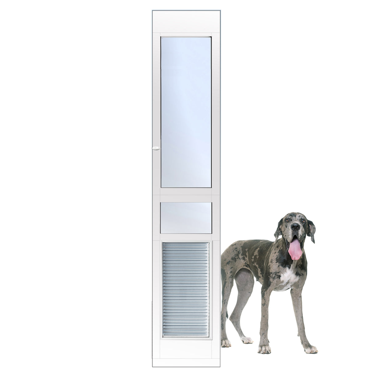 Armor Flex Patio Pet Door, Extra Large, Tall