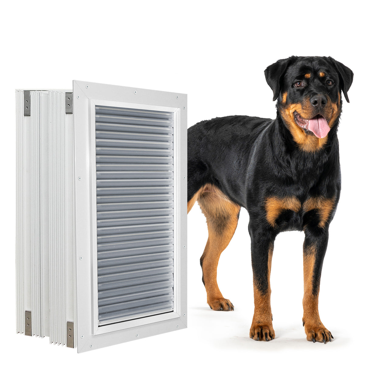 Armor Flex Large Wall Mount Dog Door