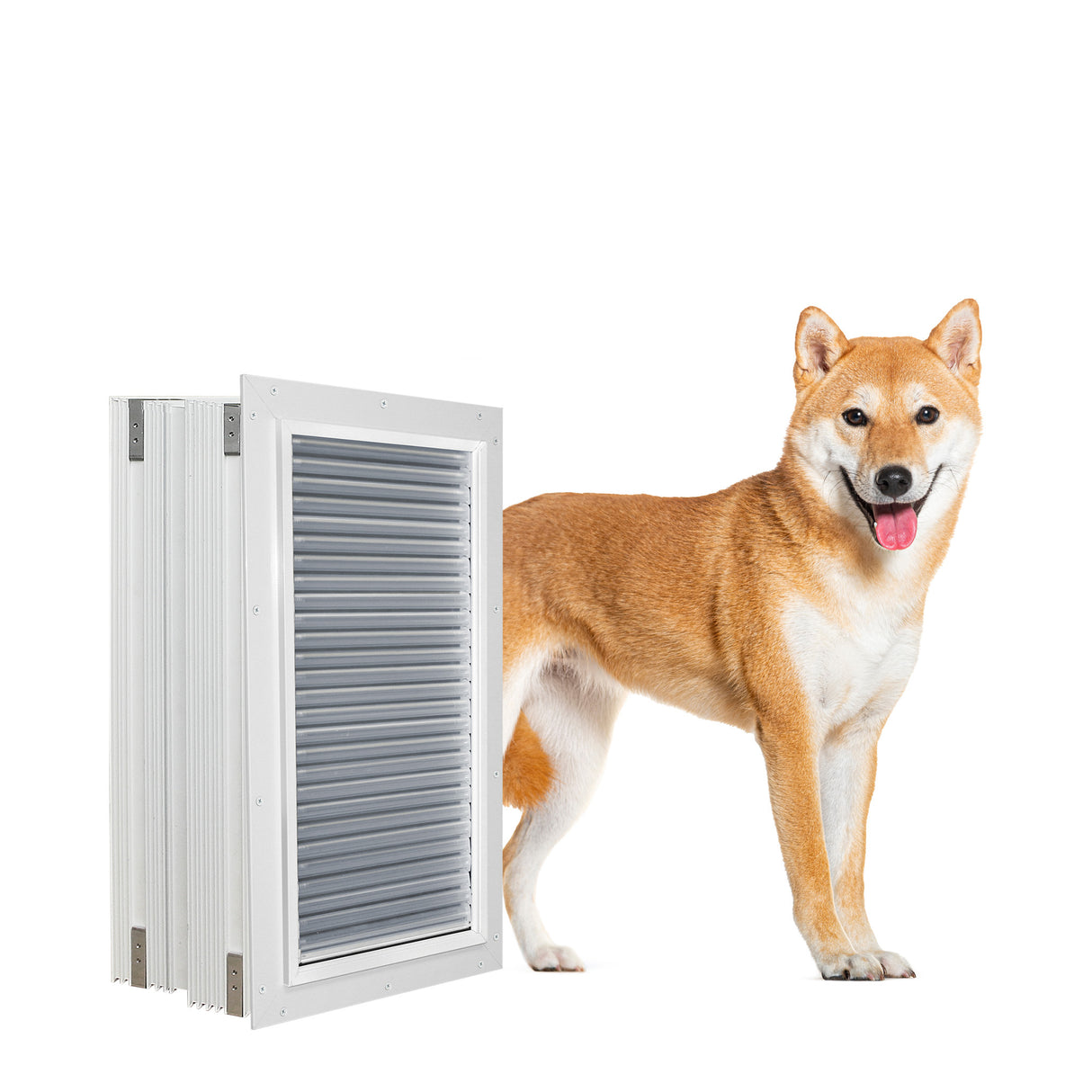 Armor Flex Dog Door - Medium Wall Mount