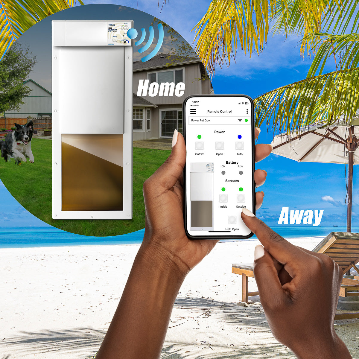 POWER PET ROLL UP Automatic WiFi Pet Door: Medium, Wall Mount