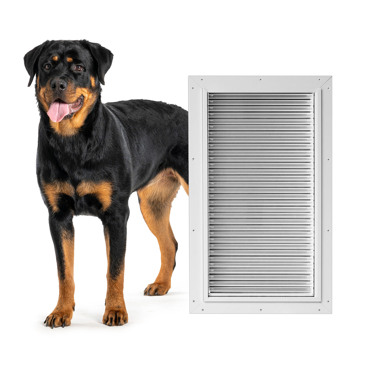 Armor Flex Large Dog Door - Door Mount