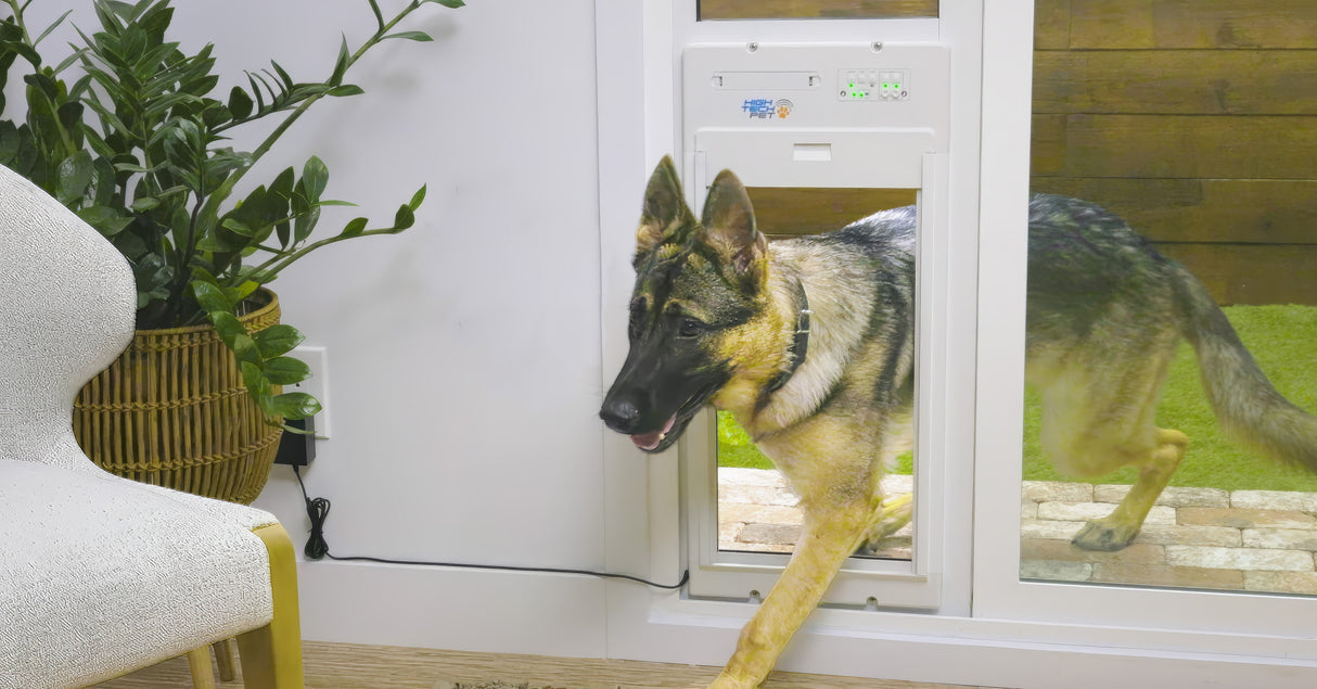 PXR-STE-XL EXTRA LARGE, TALL POWER PET PATIO ROLL UP WiFi PET DOOR