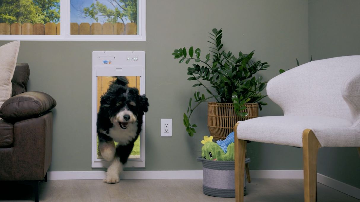 Large WiFi Controlled Power Pet Roll Up Door - Wall Mount