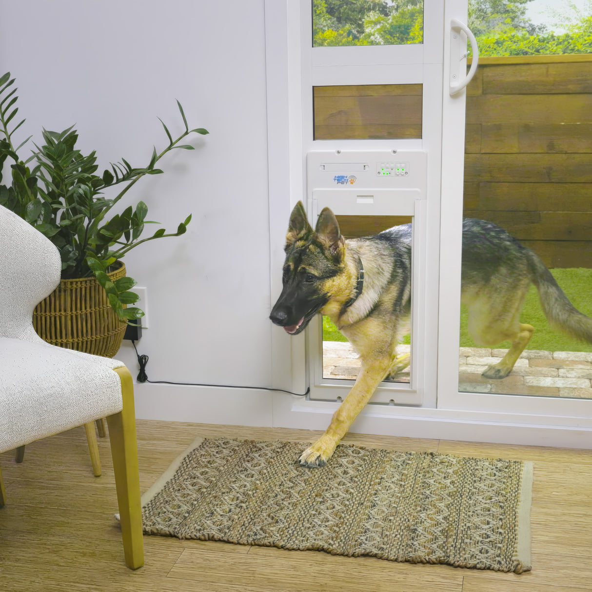 PXR-STE-XL EXTRA LARGE, TALL POWER PET PATIO ROLL UP WiFi PET DOOR