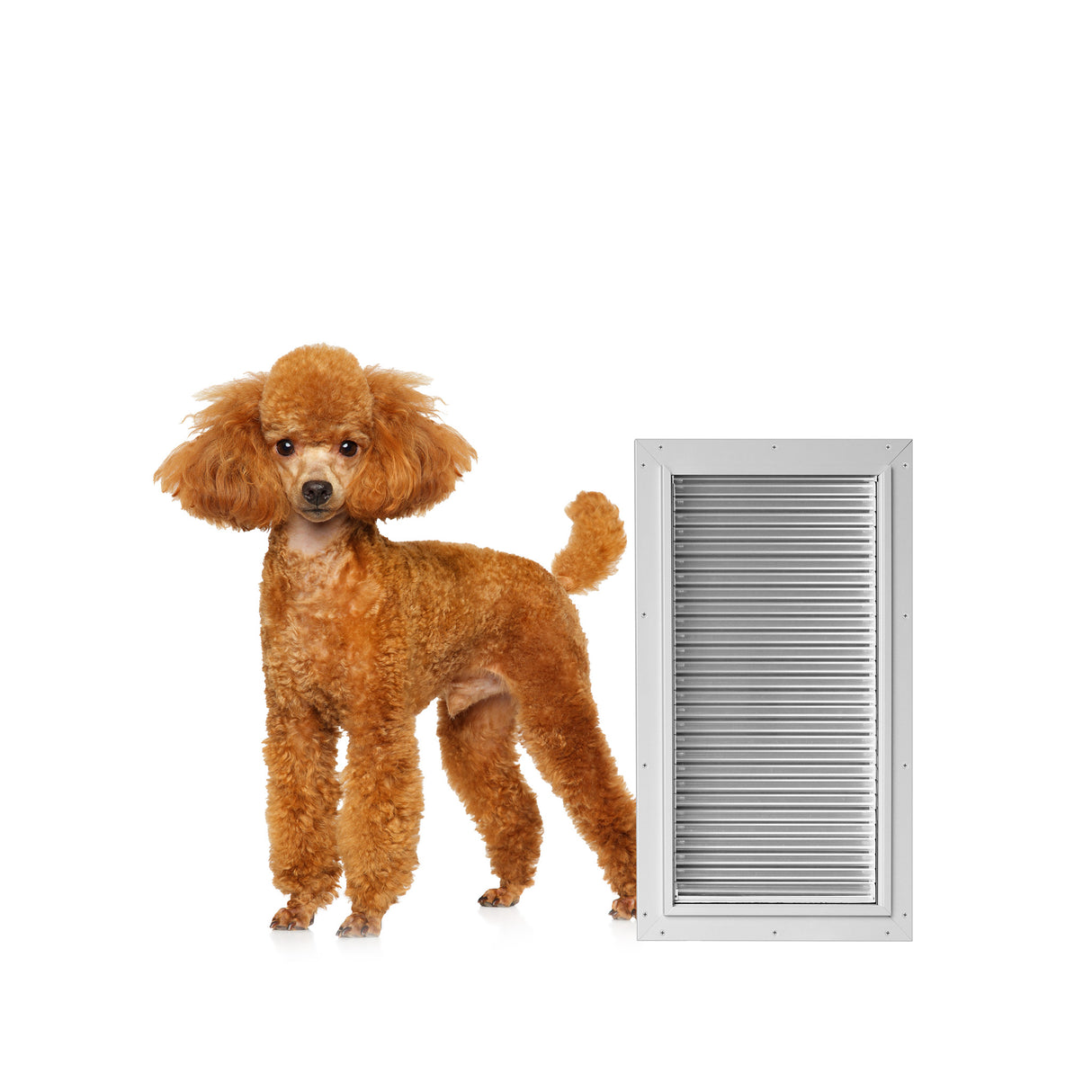 Armor Flex Small Door Mount Dog Door