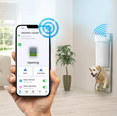 Large Wifi Controlled Power Pet Door