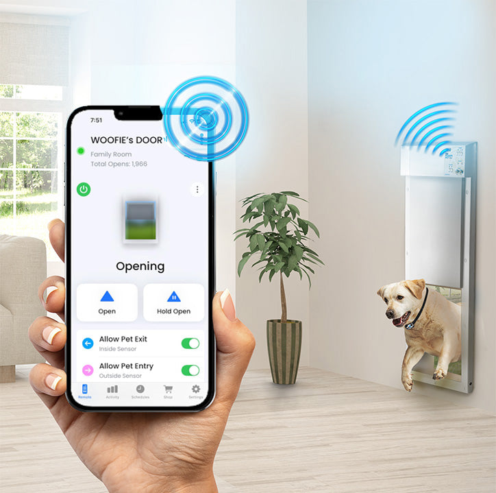 PX-2-WF-W LARGE WiFI CONTROLLED WALL MOUNT POWER PET DOOR