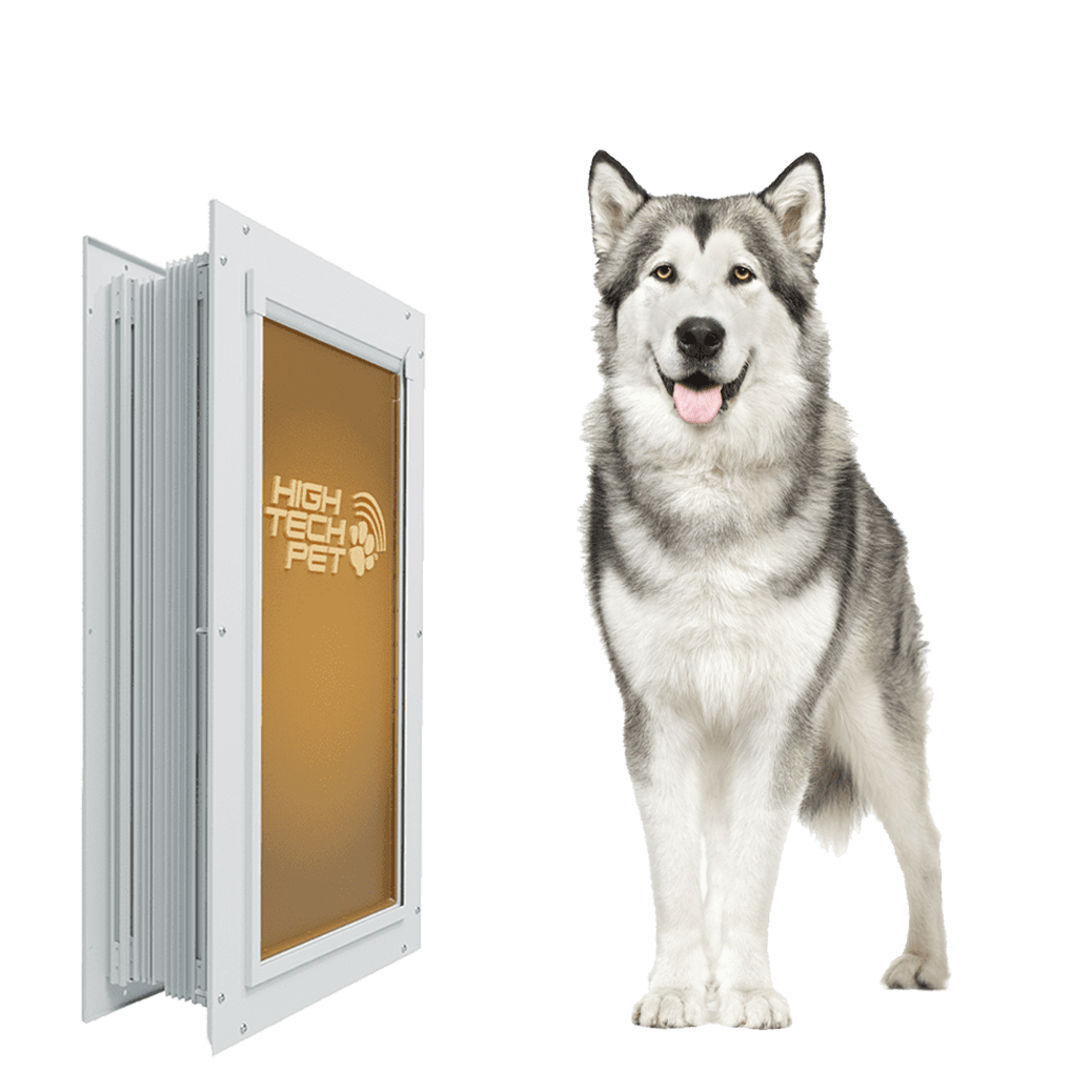 Duraflex Heavy Duty Dog Door - Wall Mount - Large