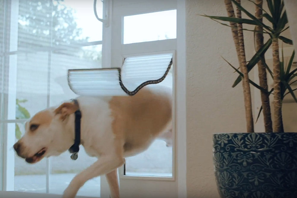 Armor Flex Low E Patio Pet Door - Small, Tall