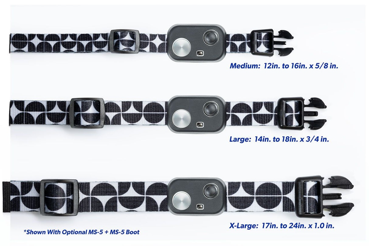 MS-5 COLLAR WITH DELUXE MODERN STRAP AND BOOT - Large