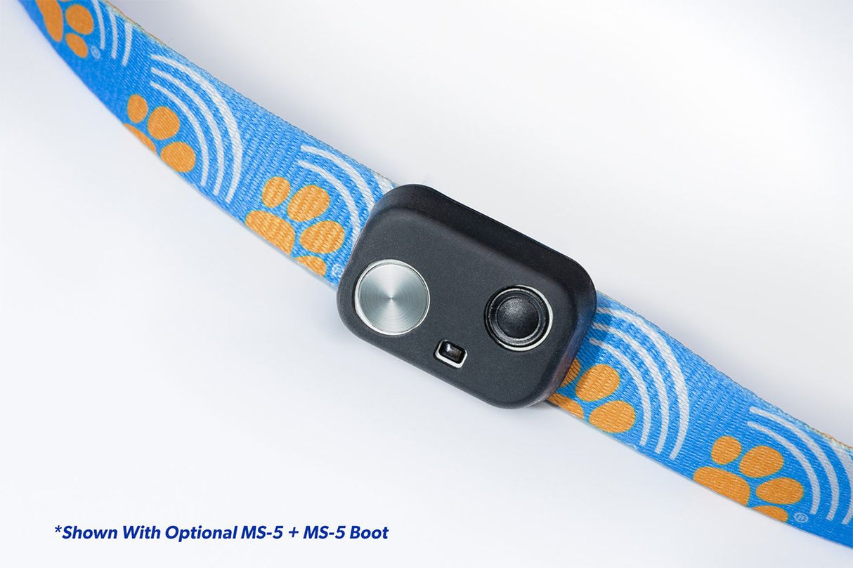 MS-5 UPGRADE KIT: 'PAWS' DELUXE COLLAR + MS-5 Boot - Medium