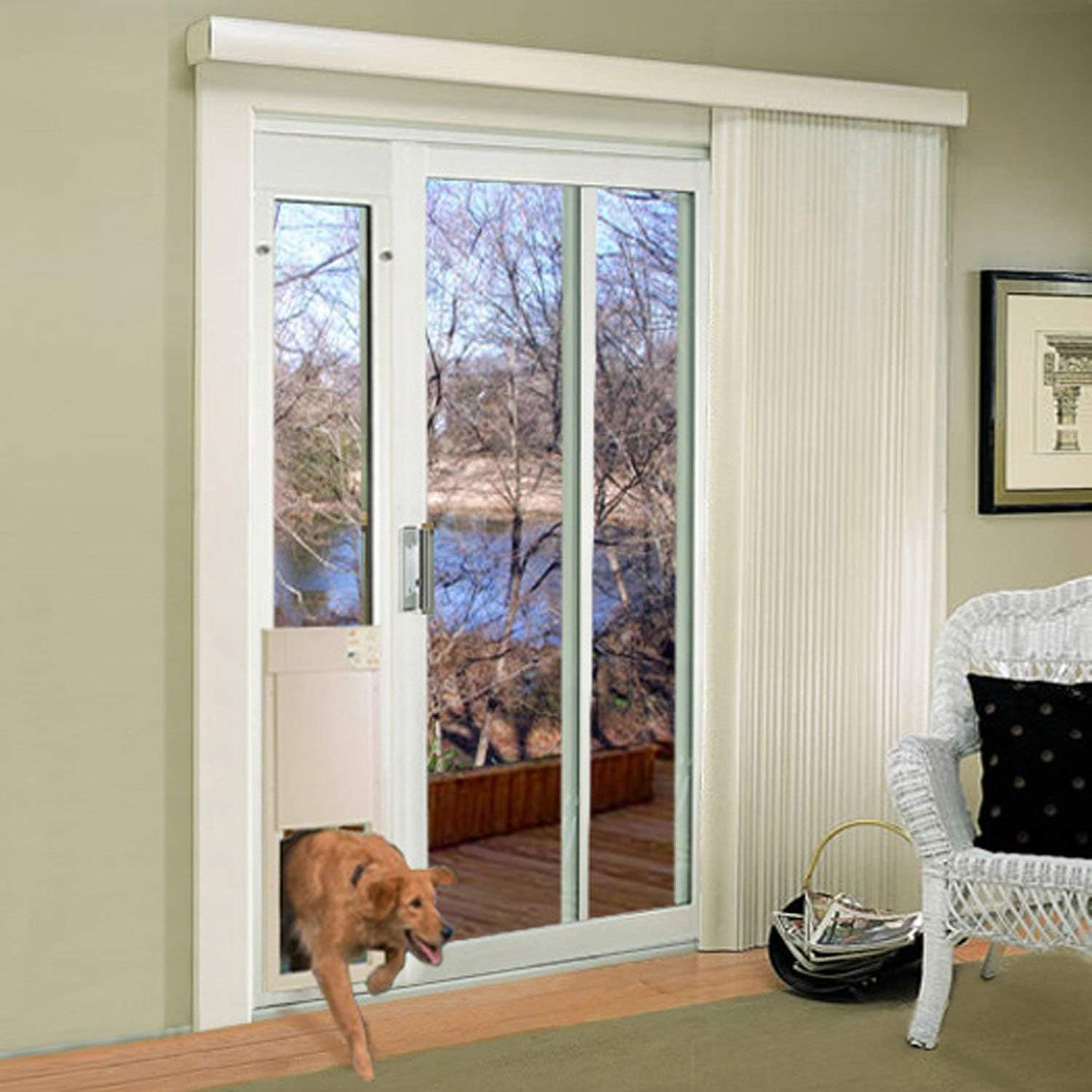 Doggie Door Safety: Tips for Pet Owners