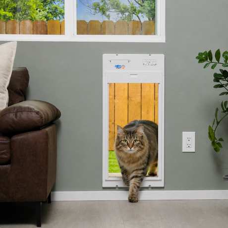 Choosing the Right Weatherproof Cat Door