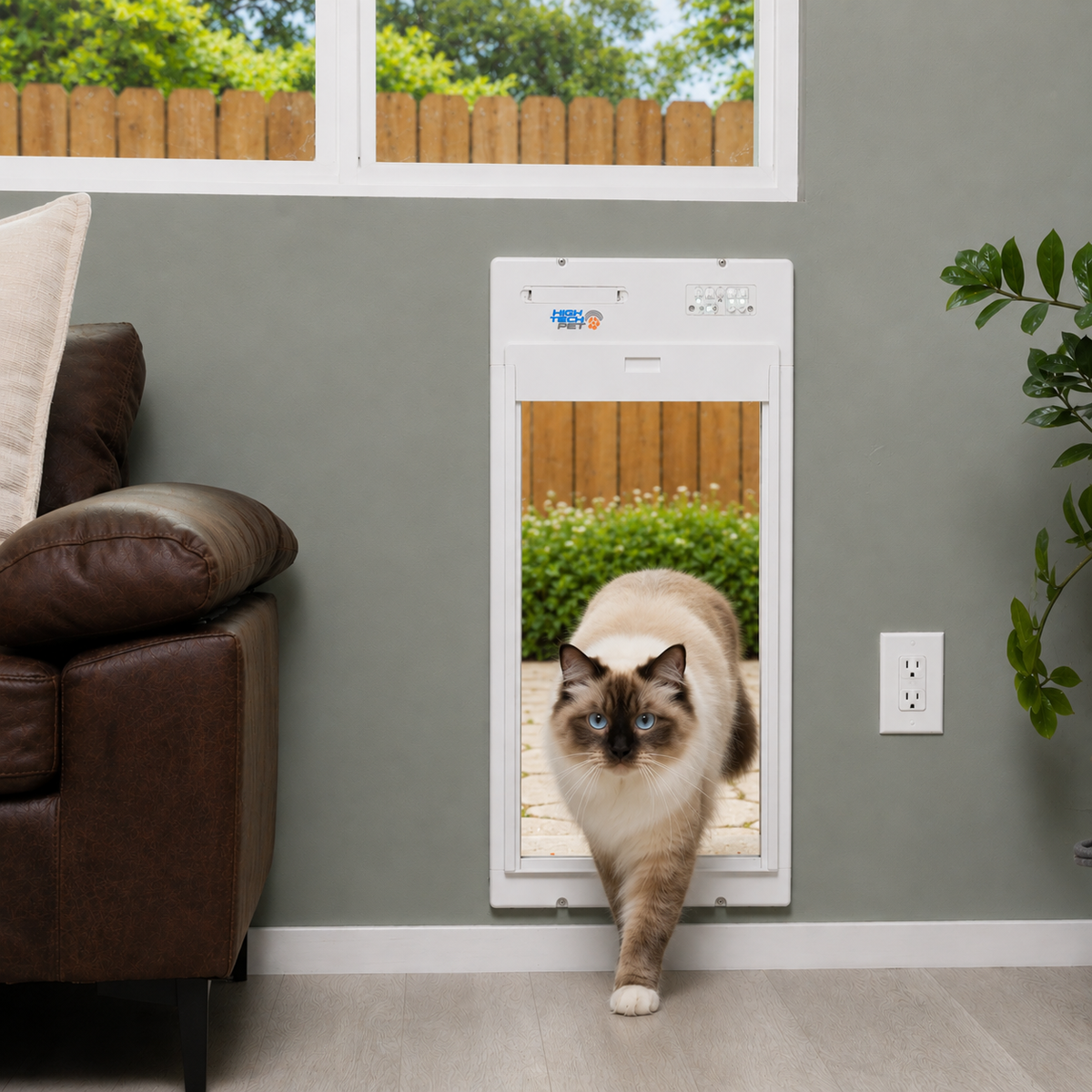 Benefits of Installing an Electric Cat Door