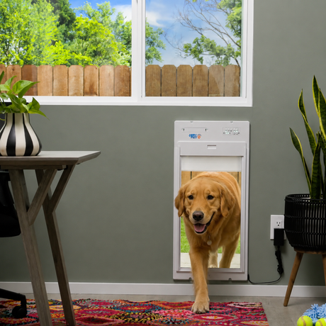 Choosing the Right Pet Door for Your Home