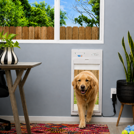 Tools Needed for Pet Door Installation
