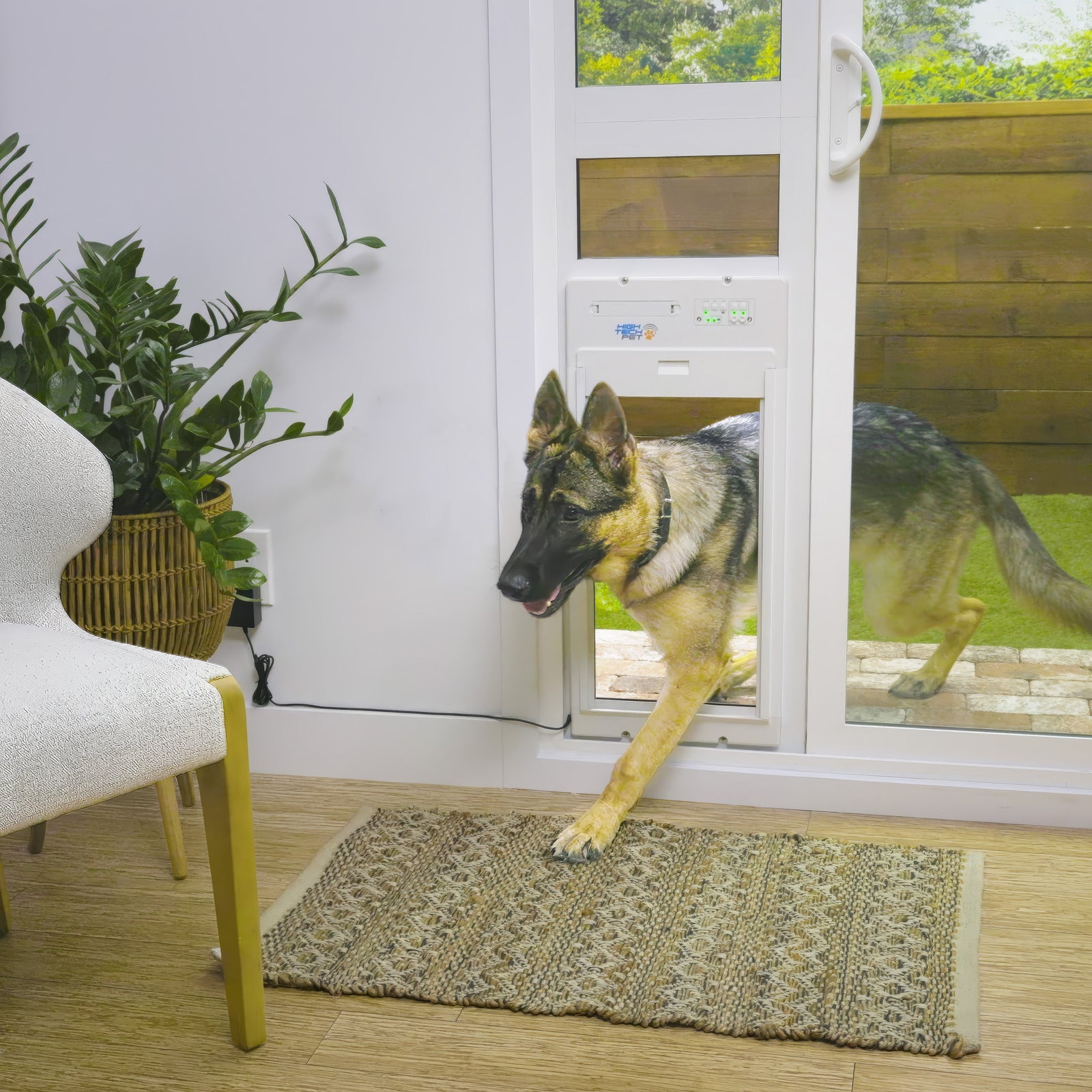Maintenance Tips for Aluminum Dog Doors
