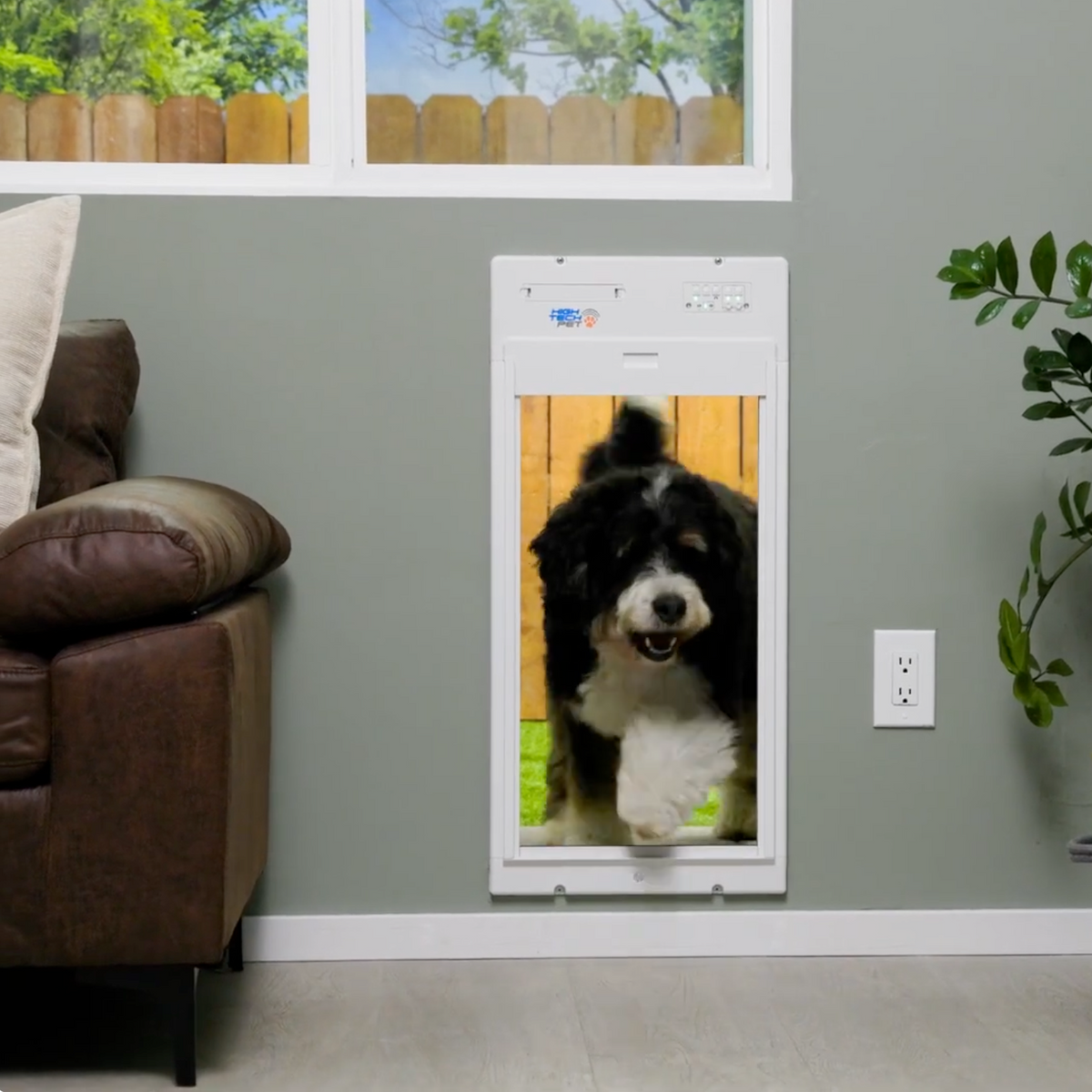 Large Dog Doors: Safety and Security Tips