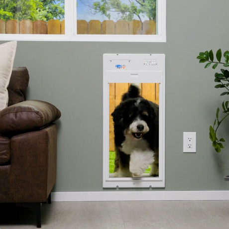 Large Dog Doors: Safety and Security Tips