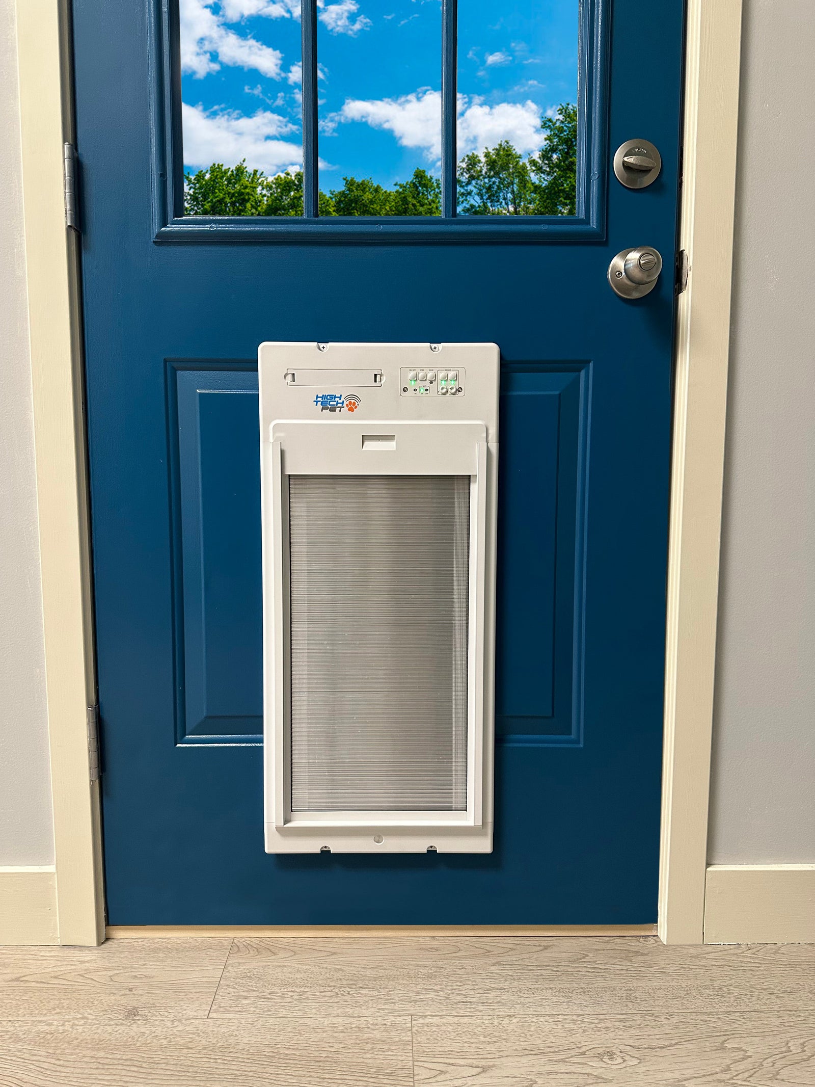 Stylish Interior Doors with Built-in Dog Doors