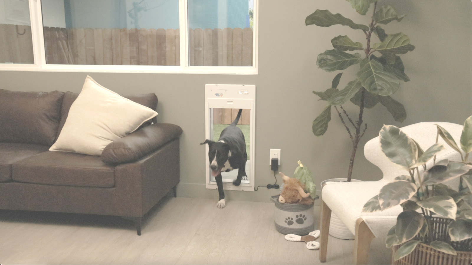 10 Steps to Maintaining Your Exterior Wall Dog Door