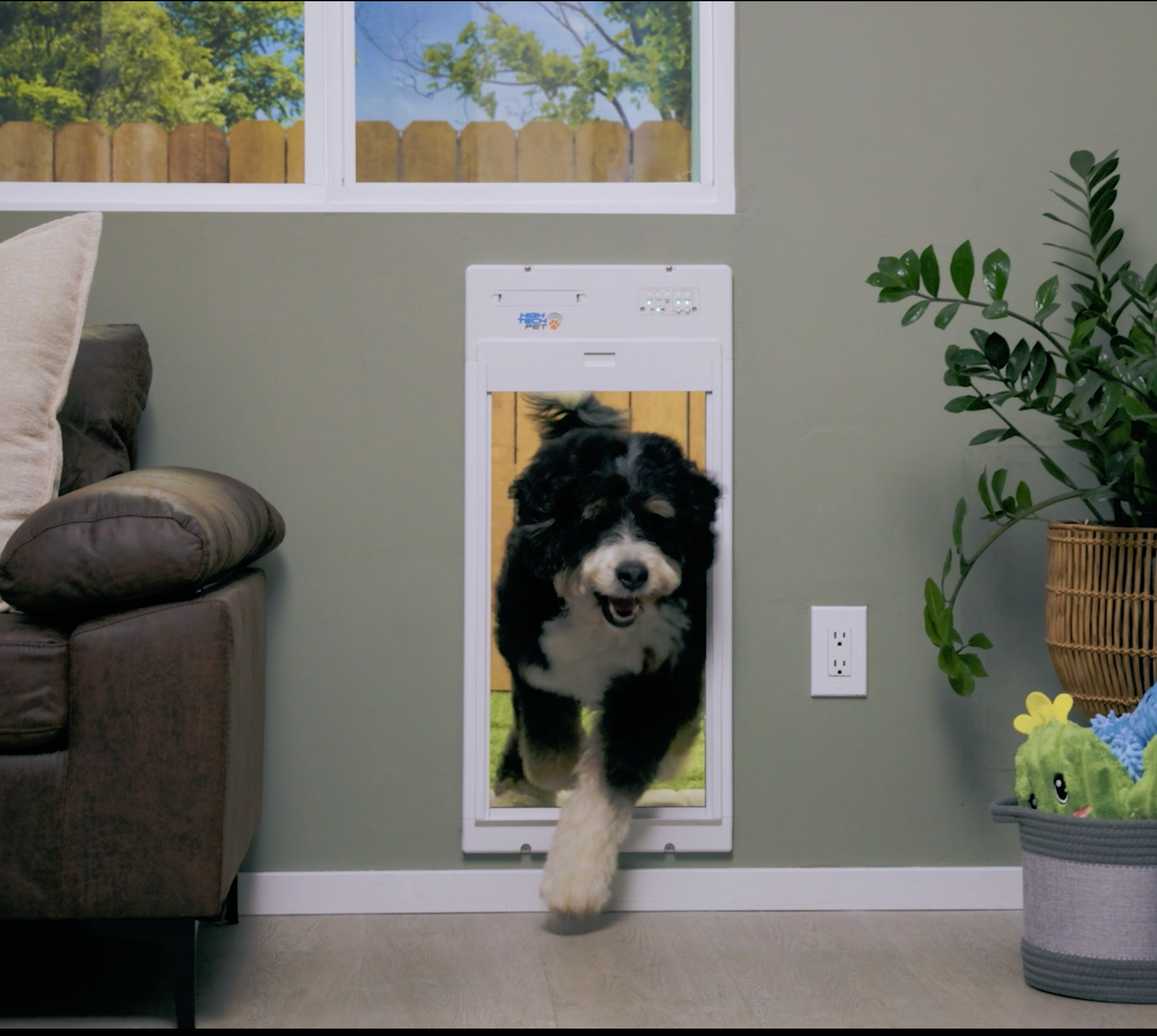 How I Save 3 Hours a Week With an Automatic Dog Door