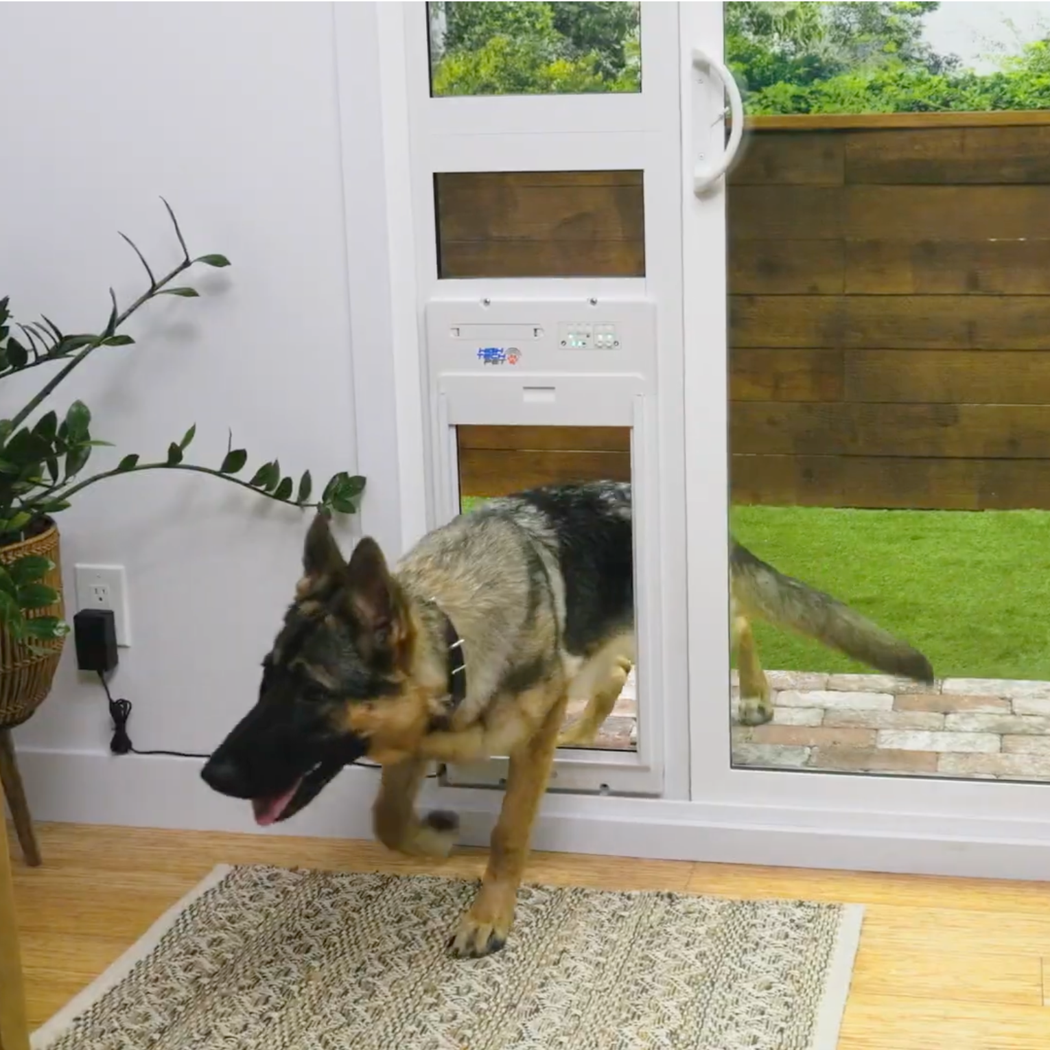 Best Doggie Doors for Sliding Glass Doors