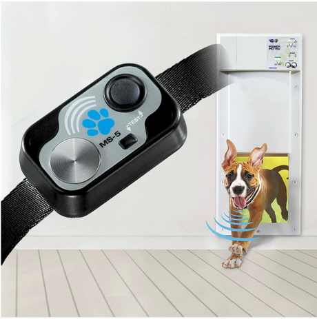 How Does an Ultrasonic Dog Door Collar Keep Raccoons and Neighborhood Cats Out?