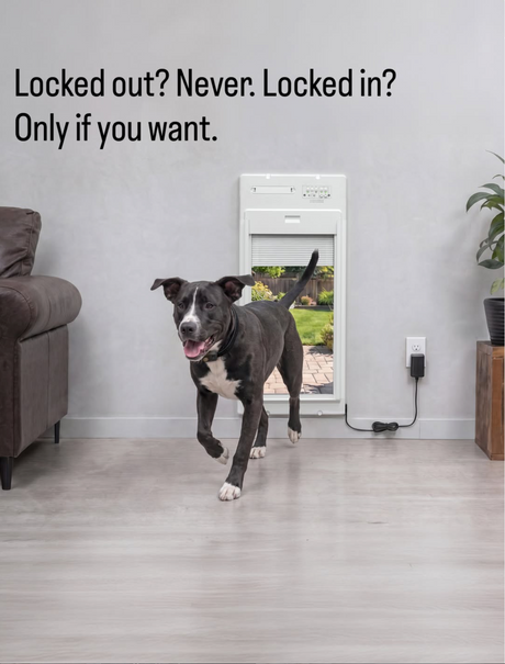 Can a Dog Door Tell the Difference Between Coming In and Going Out? Yes — Here's How