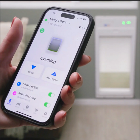 In Only, Out Only, or Both? The Smart Dog Door Setting Most Owners Don't Know About