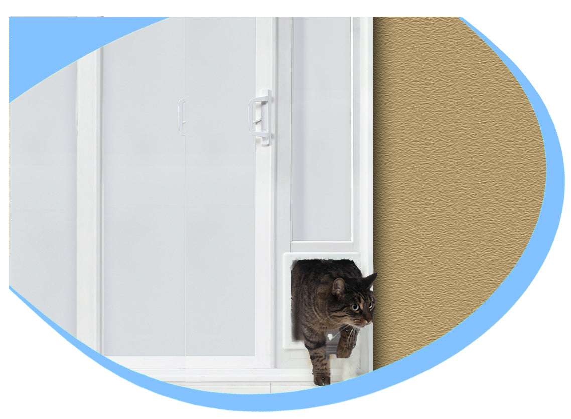 Creating a Cat Tunnel in Your Wall: 6 Steps