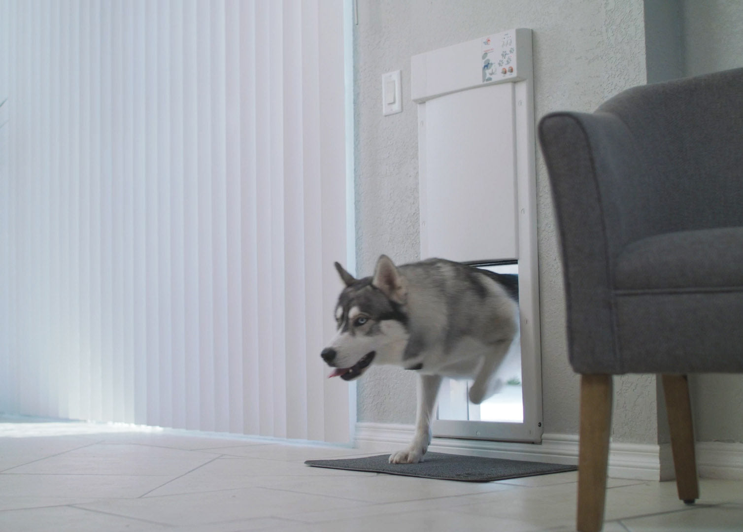 DIY Guide to Installing an Insulated Pet Door