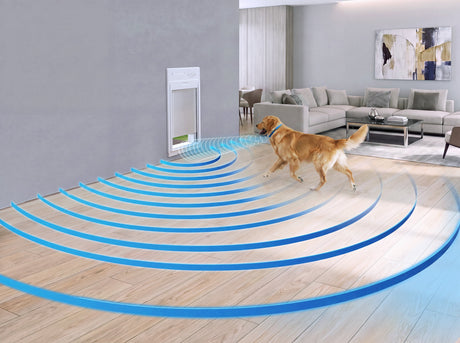 Smart Detect: Why Your Power Pet Door Won't Open Just Because Your Dog Walked By