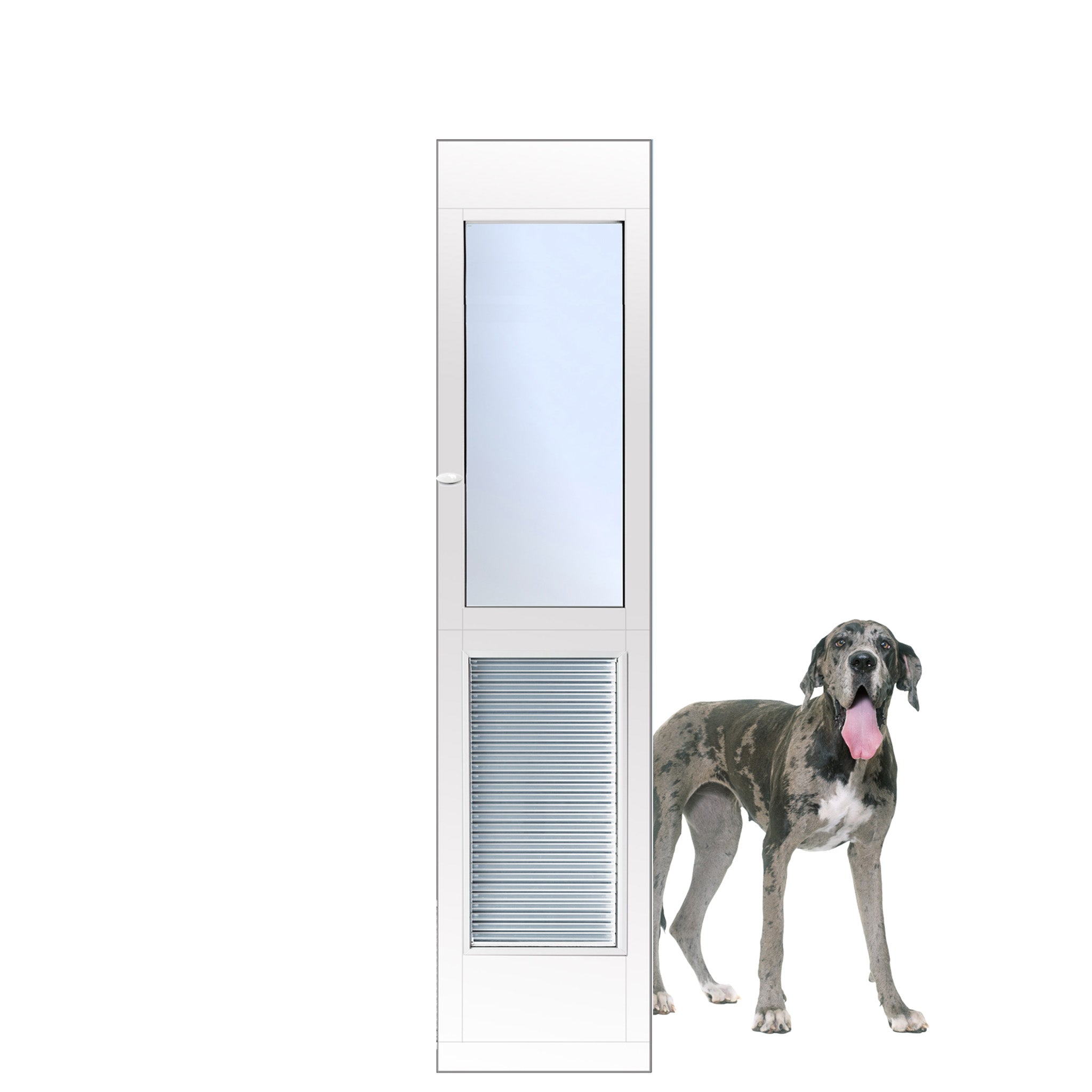 AF_SRE_XL_Dog.jpg?v=1756829609