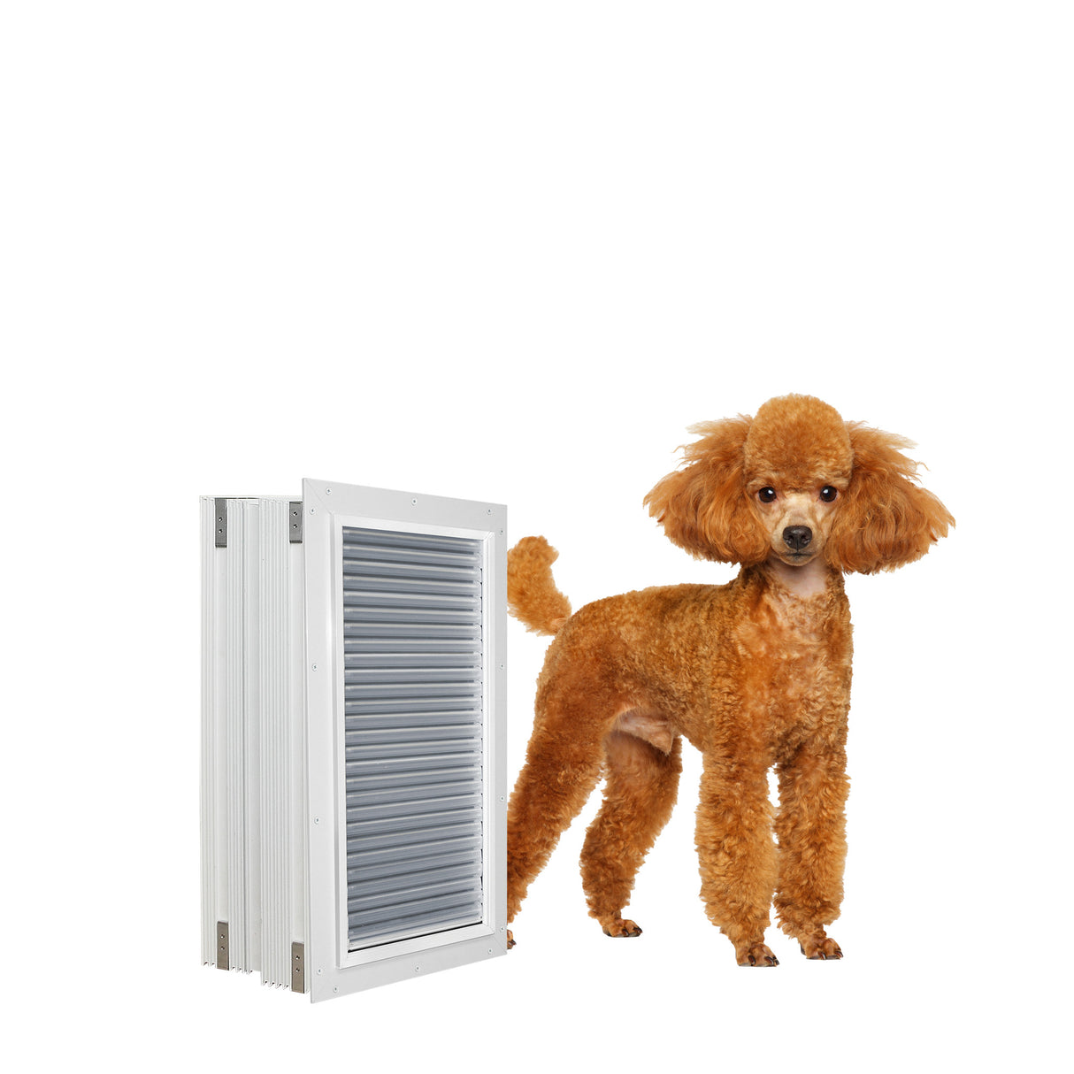 Armor Flex Dog Door, Small, Wall Mount