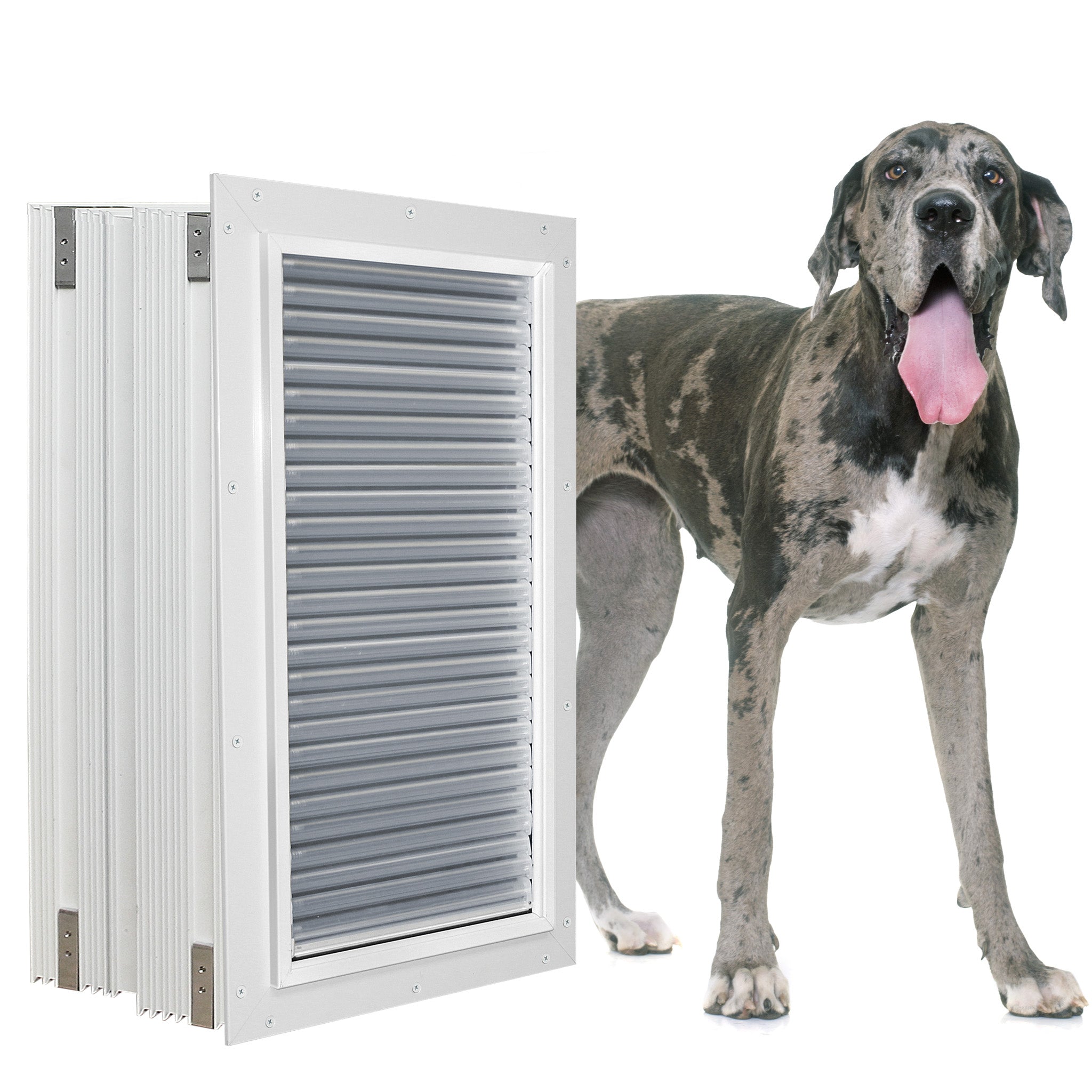 Armor Flex Extra Large Wall Mount Dog Door – High Tech Pet