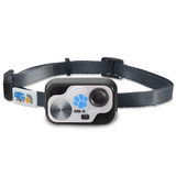 MS-5 Designer Series Black  Cat Safety Collar