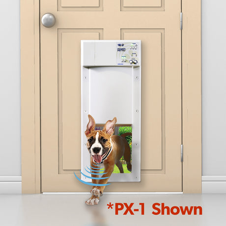 Model PX-2 LARGE POWER PET ® DOOR for All Pets up to 100 lbs.