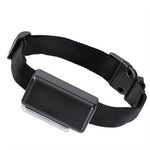 ETC-1 EXPRESS TRAINER EXTRA COLLAR