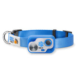 MS-5 Blue Designer Series Automatic Pet Door Collar