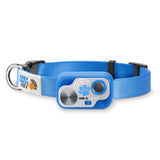 Designer Dog Collar Super Bundle