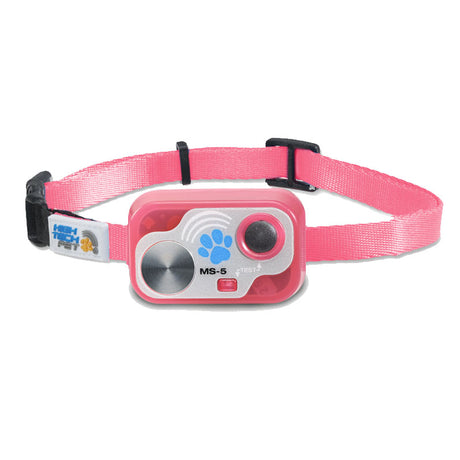 MS-5 Replacement Cat Straps (Strap Only)