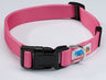 Deluxe Collar