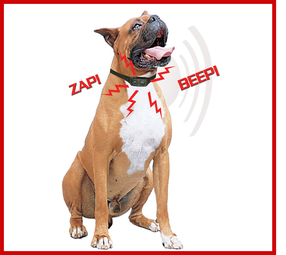 Model BT-3 BARK TERMINATOR World's Most Effective & Humane Anti Bark Collar