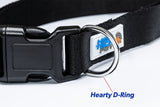 MS-5 COLLAR WITH DELUXE BLACK STRAP AND BOOT - Large