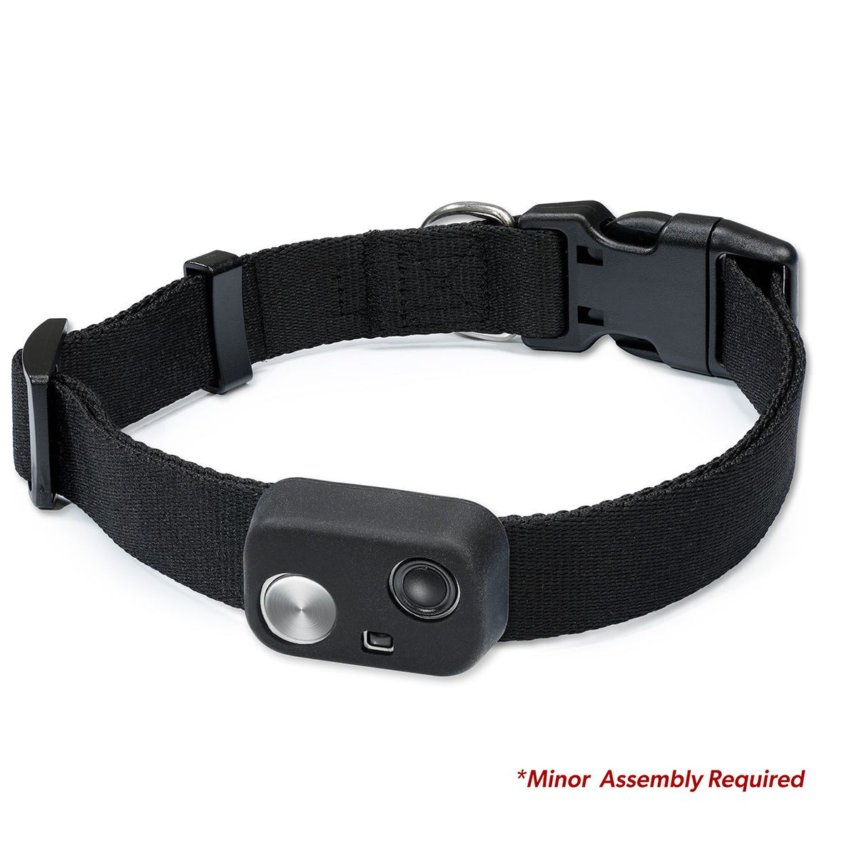 MS-5 COLLAR WITH DELUXE BLACK STRAP AND BOOT - Large