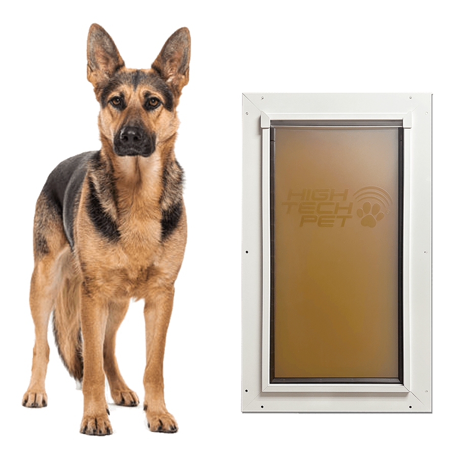 Diy Dog Cooling Matnull